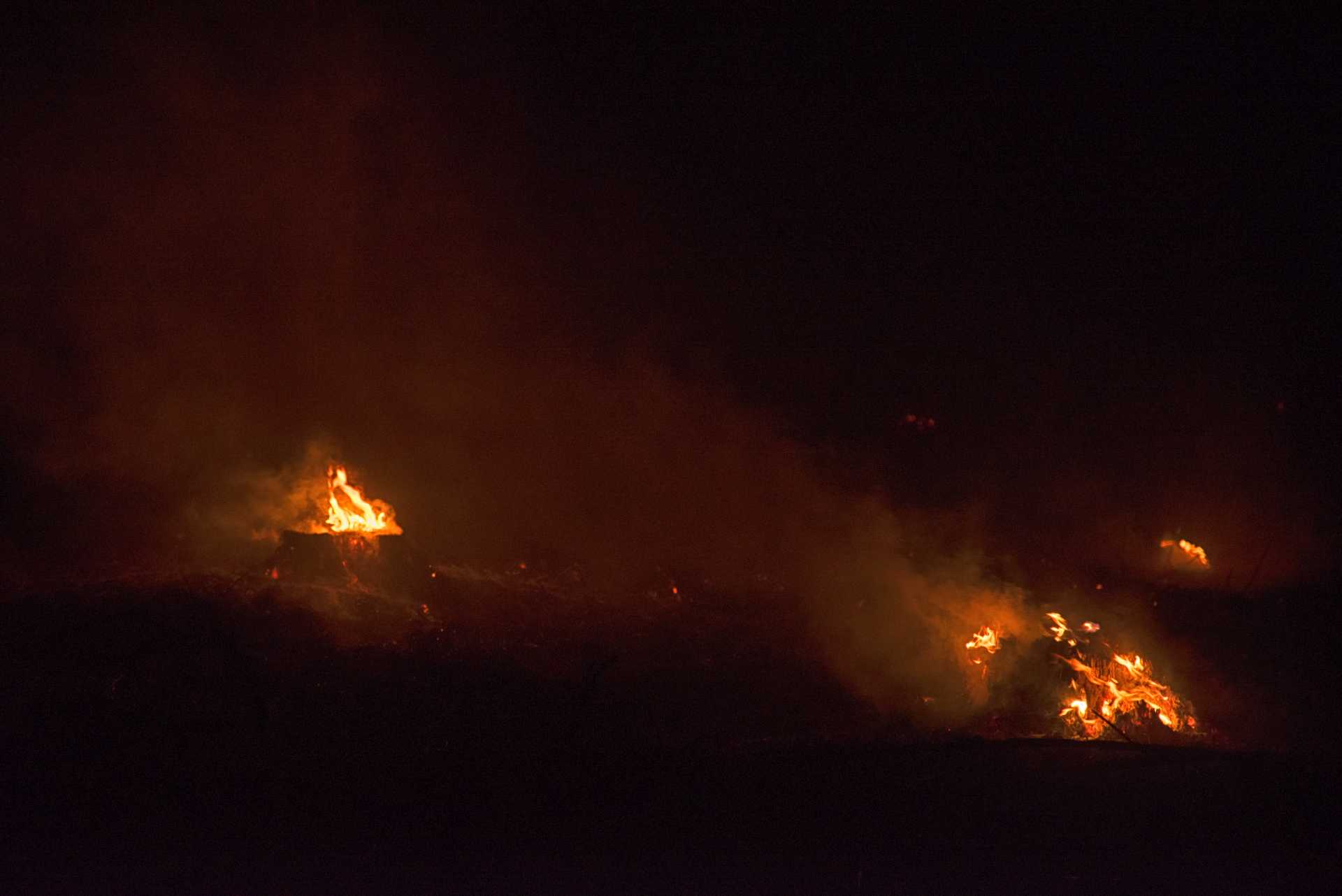 Incendio nella pineta delle Acque Rosse